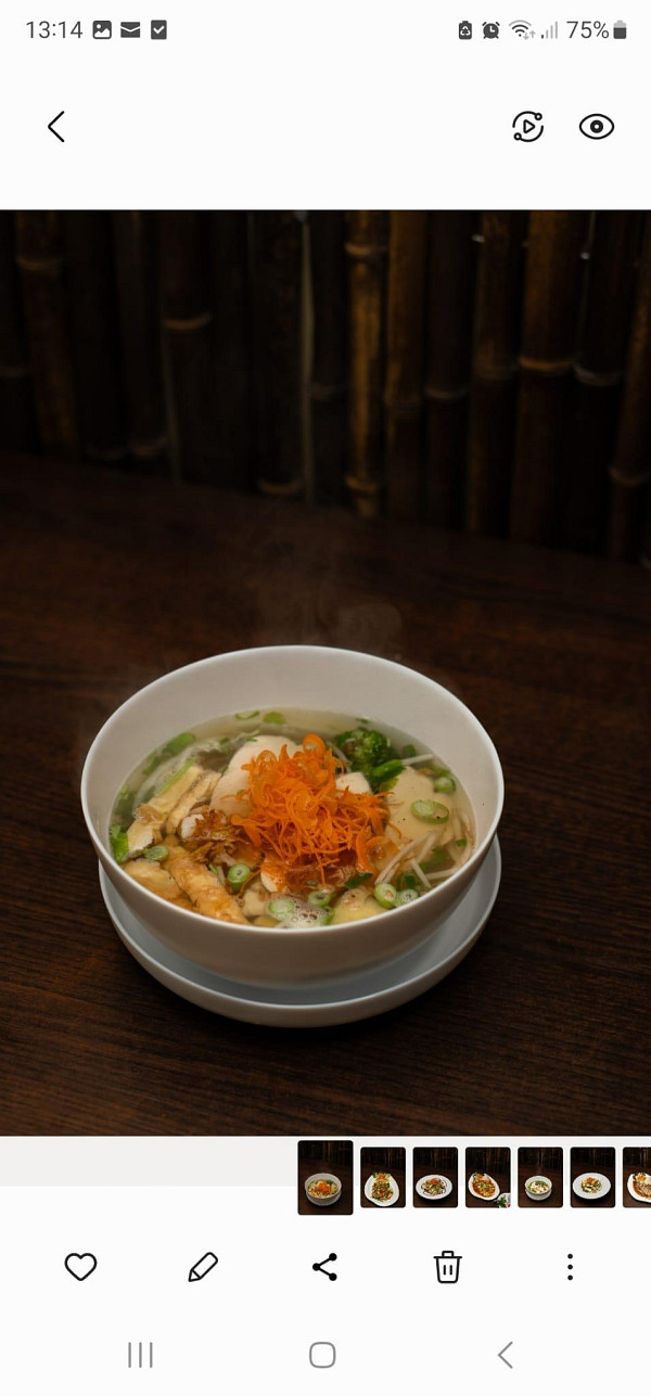 Wantan-Nudeln-Suppe (Große Schale)